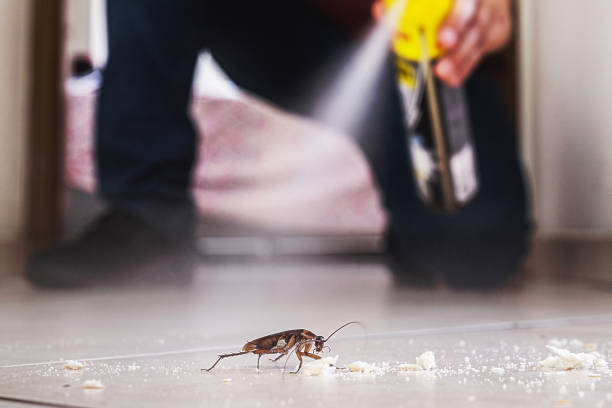 Professional Pest Control in Ringwood, NJ